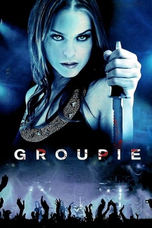 Groupie (2010) Hindi Dual Audio 300MB