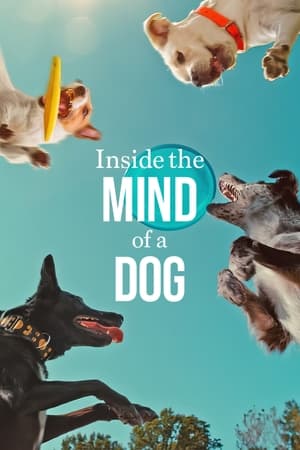 Inside the Mind of a Dog 2024 Hindi Dual Audio – – 480p