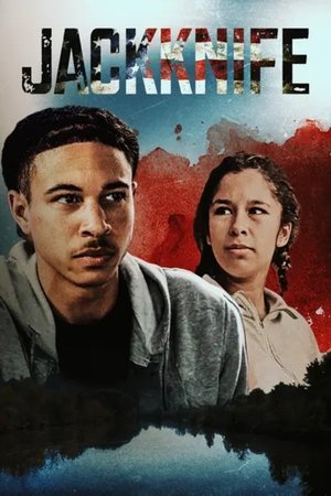 Jackknife (2024) Hindi (MULTI AUDIO) – – 1080p