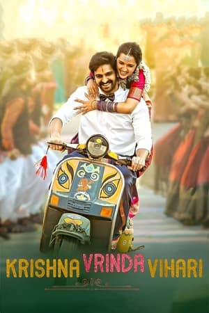 Krishna Vrinda Vihari (2022) (Hindi – Telugu) Dual Audio –