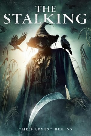 The Stalking (2024) Hindi (MULTI AUDIO) – – 1080p