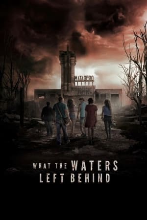 What the Waters Left Behind 2017 Hindi Dual Audio –
